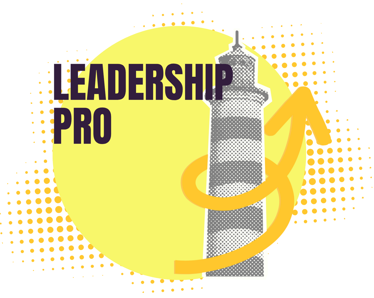training-package-_0001_leadeship-pro