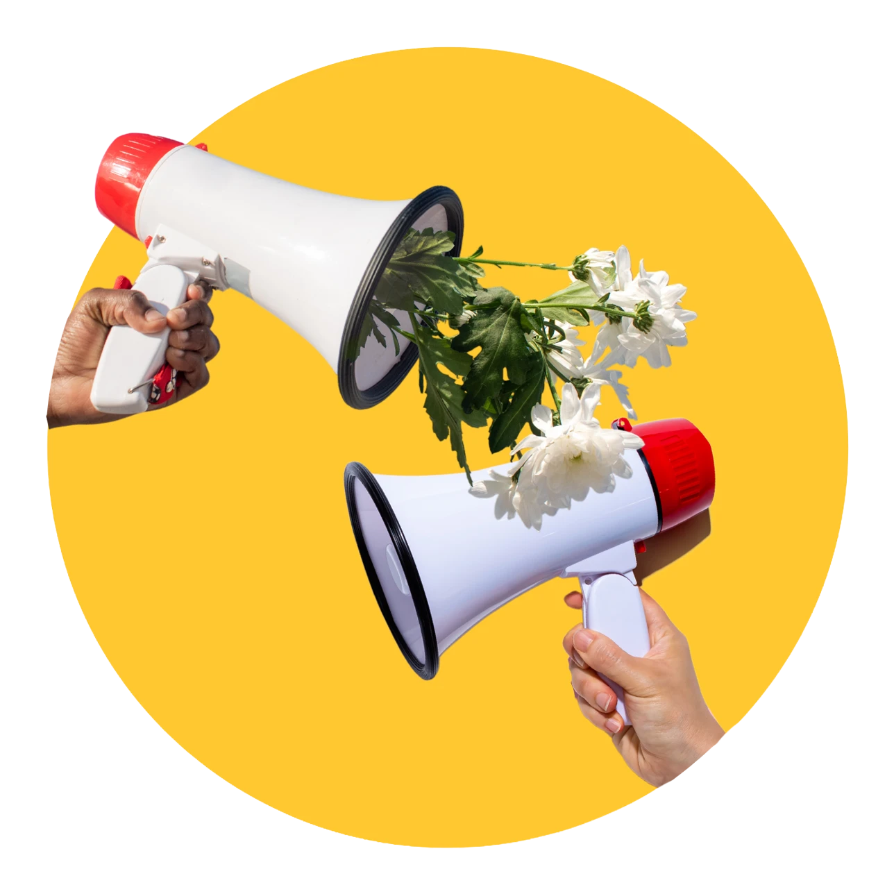 Communication and Feedback training logo